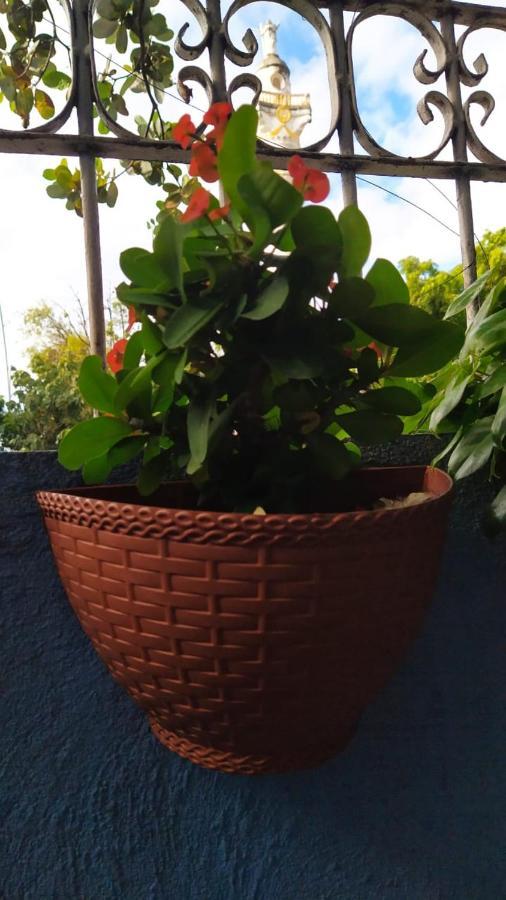 Dragão Do Mar Fortaleza (Ceara)